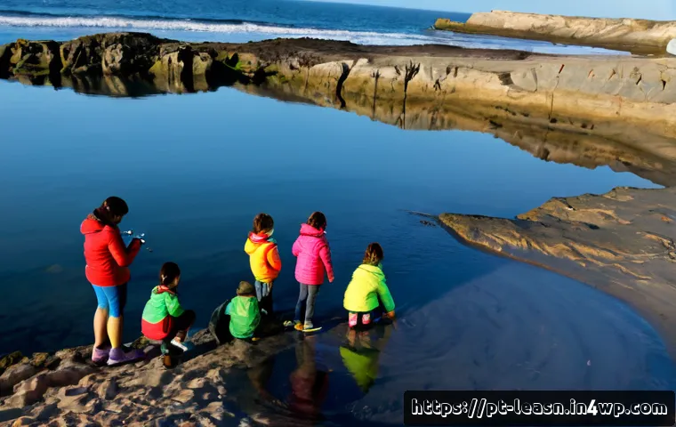 자연환경에서의 협력적 학습 방법 관련 이미지 1